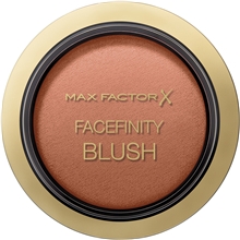 Facefinity Blush 2 gr No. 040
