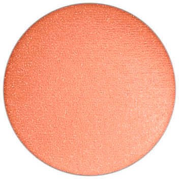 MAC Cosmetics Frost Eye Shadow Pro Palette Refill Suspiciously Sw