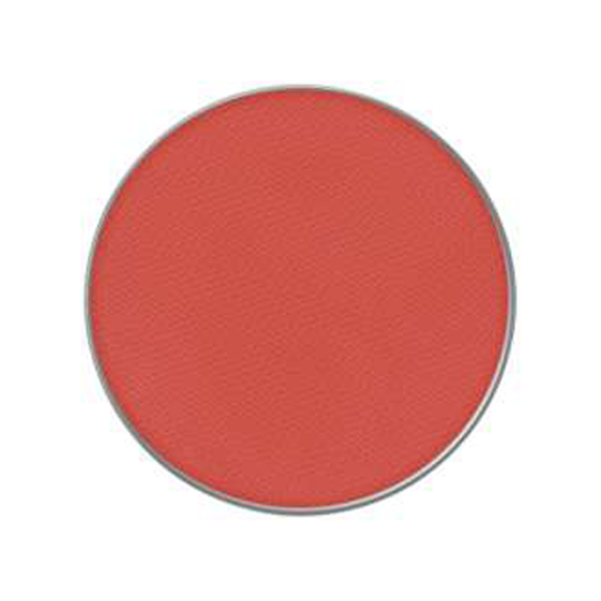 MAC Cosmetics Powder Kiss Eye Shadow Pro Palette 20 So Haute Right Now