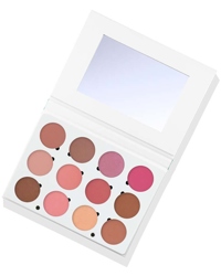 Professional Blush Palette