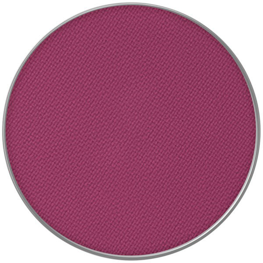 MAC Cosmetics Powder Kiss Eye Shadow Pro Pale 16 Lens Blur