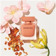Narciso Ambrée - Eau de parfum 50 ml