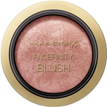 Facefinity Blush 2 ml No. 005