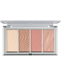 4-in-1 Skin Perfecting Face Palette, Fair Light