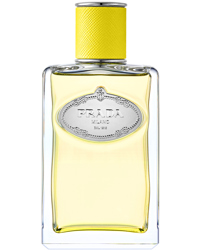 Infusion Ylang, EdP 100ml