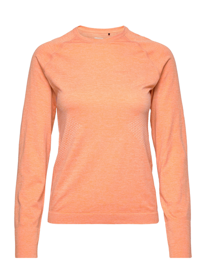 Core Dry Active Comfort Ls W T-shirts & Tops Long-sleeved Coral Craft