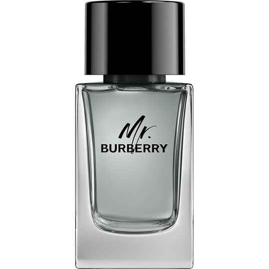 Burberry Mr Burberry EdT, 100 ml Burberry Miesten hajuvedet
